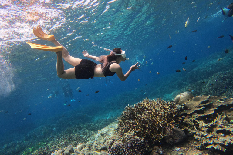 Nusa Penida: West Coast Adventure Package Nusa Penida: West & Snorkeling Package