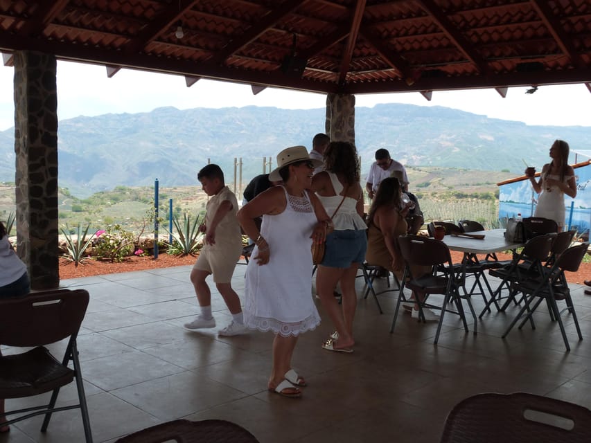 From Guadalajara: Tequila Factory and Panoramic Swing Tour | GetYourGuide