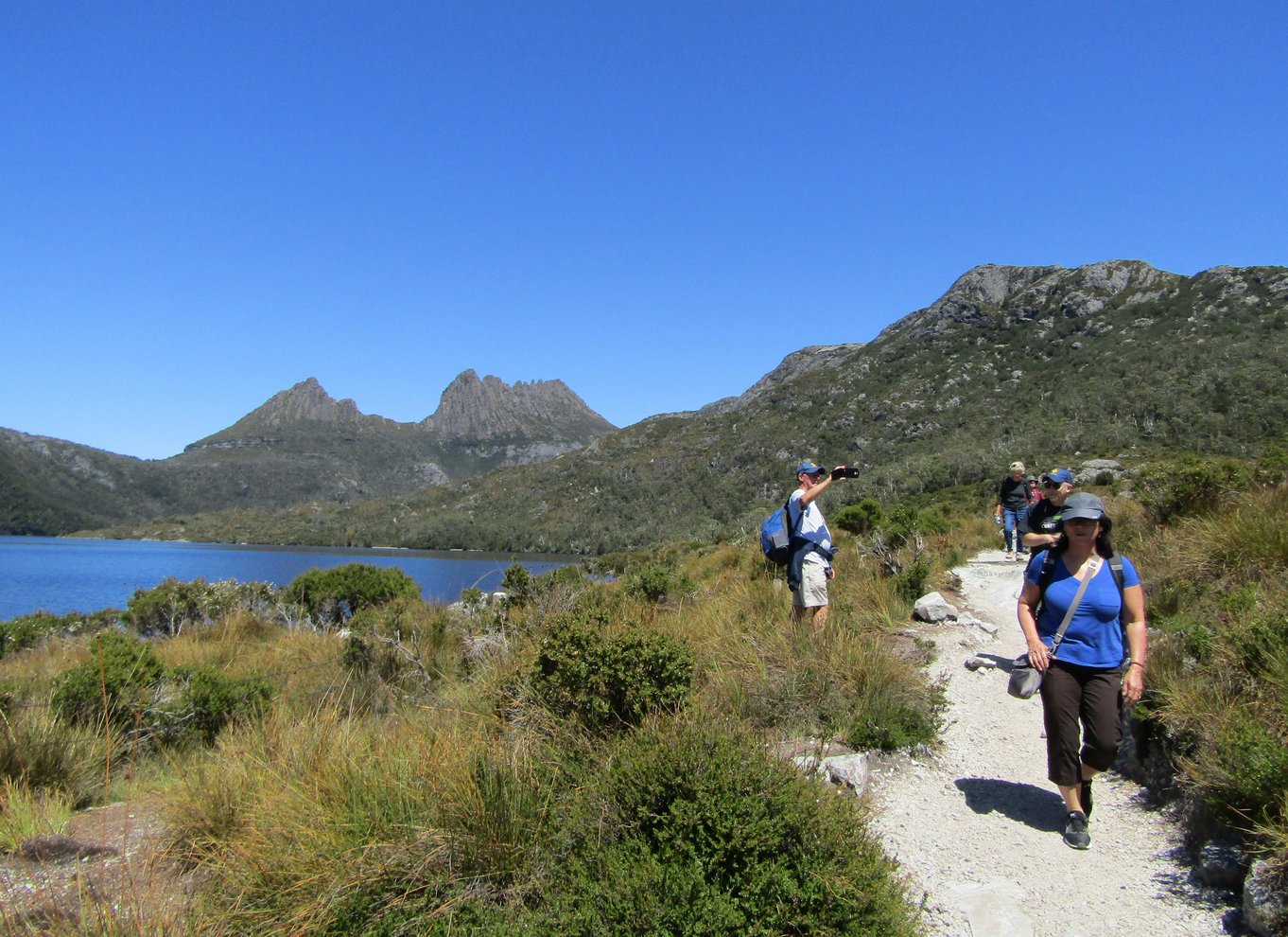 Launceston: Cradle Mountain National Park dagsudflugt med vandretur