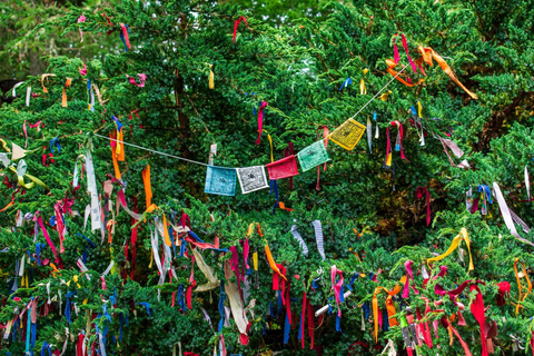 Inverness: Black Isle Tour with Brewery Visit & Tasting