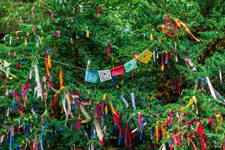 Inverness: Black Isle Tour with Brewery Visit & Tasting