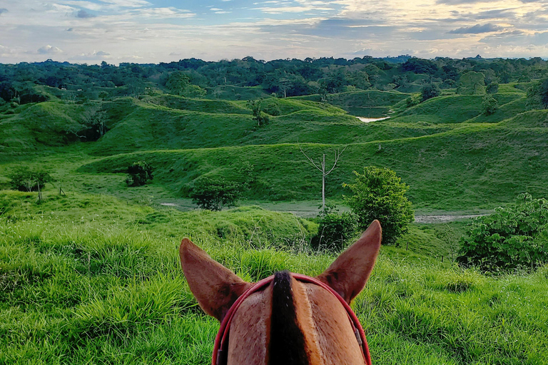 From Medellin; (All-In) The Real Horseback Ranch ExperienceMedellin Departure; Authentic Colombian Ranch Experience