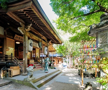 Fukuoka: Tour del Kyushu a Dazaifu, Tempio Nyoirin-ji e Yufuin
