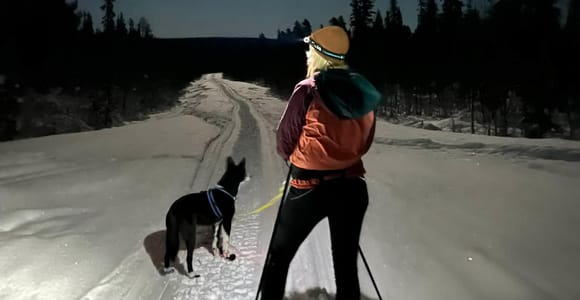 Kiruna: Private Snowshoeing & Sauna Experience