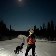Kiruna : randonnée privée en raquettes et sauna