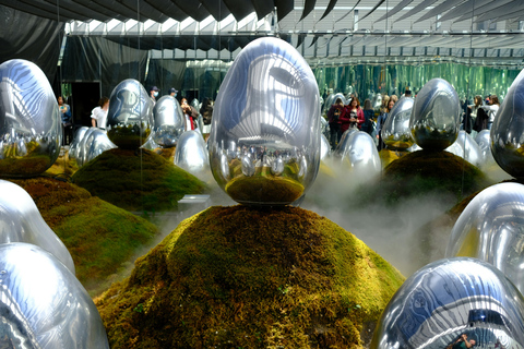 Tokyo Night Tour: teamLab Planets & Tsukishima Monja Walk