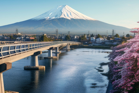 Tokyo: Mount Fuji And Hakone Private Tour Full Customizable