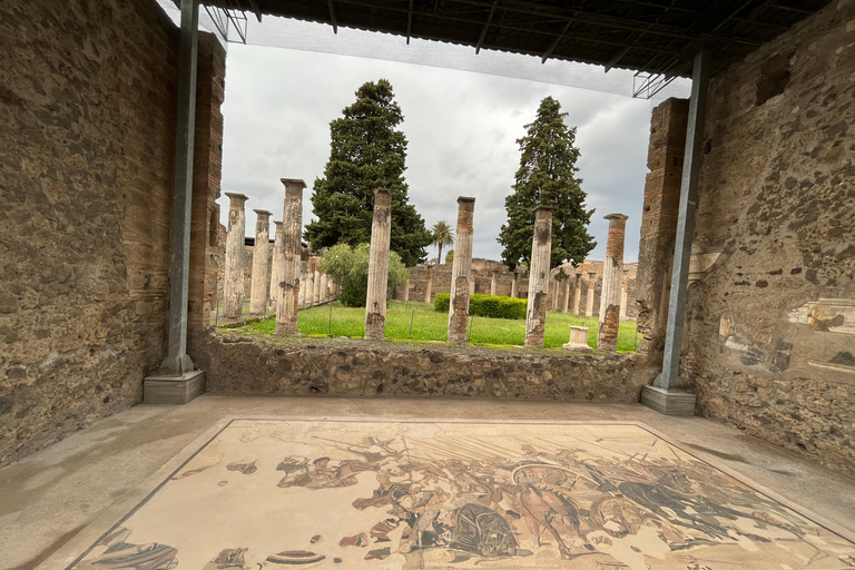 Vanuit Rome: privétour Pompeii en Amalfikust per Van