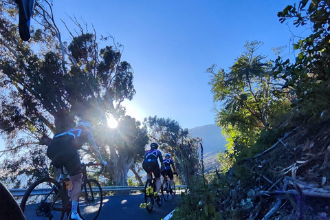 La Palma : découvrez le sud de l&#039;île à vélo de courseLa Palma : découvrez le sud de l&#039;île en vélo de route