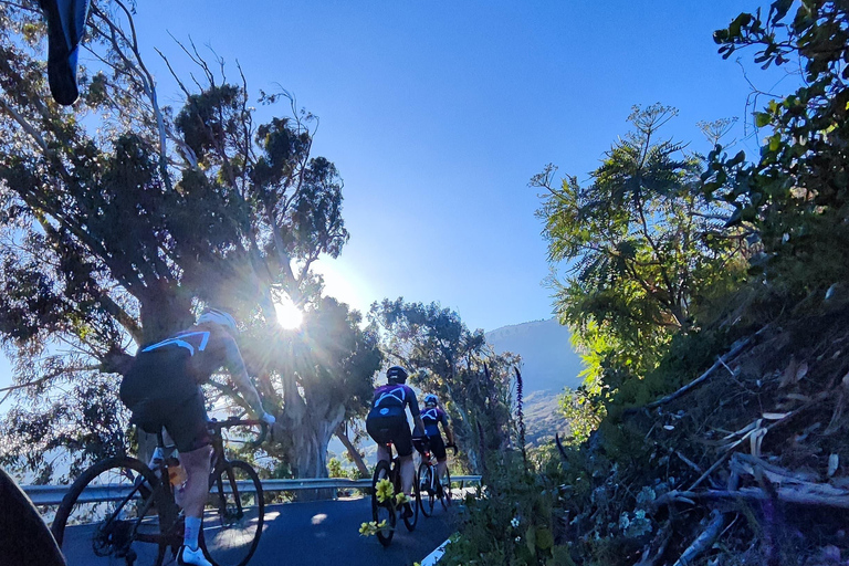 La Palma : découvrez le sud de l&#039;île à vélo de courseLa Palma : découvrez le sud de l&#039;île en vélo de route