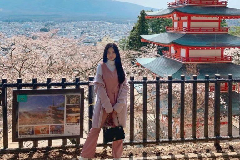 From Tokyo: Mt. Fuji Views Private Customize Itinerary Tour