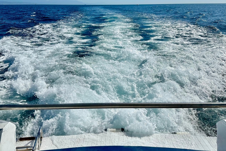 Málaga: Excursión en barco para avistar delfines en la costa de BenalmádenaMálaga: Paseo en barco para avistar delfines en la costa de Benalmádena
