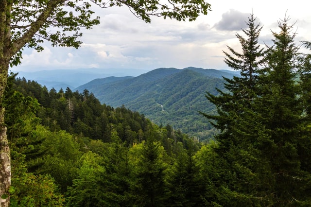 Pigeon Forge: Great Smoky Foothills Parkway Jeep Tour