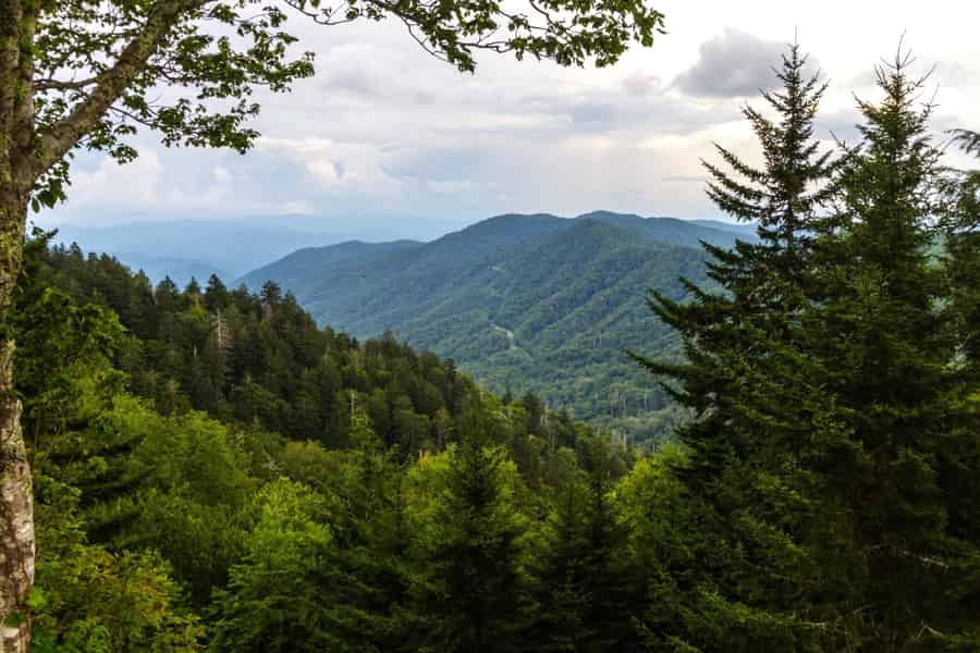 Pigeon Forge: Jeep-Tour durch die Great Smoky Foothills Parkway. Foto: GetYourGuide