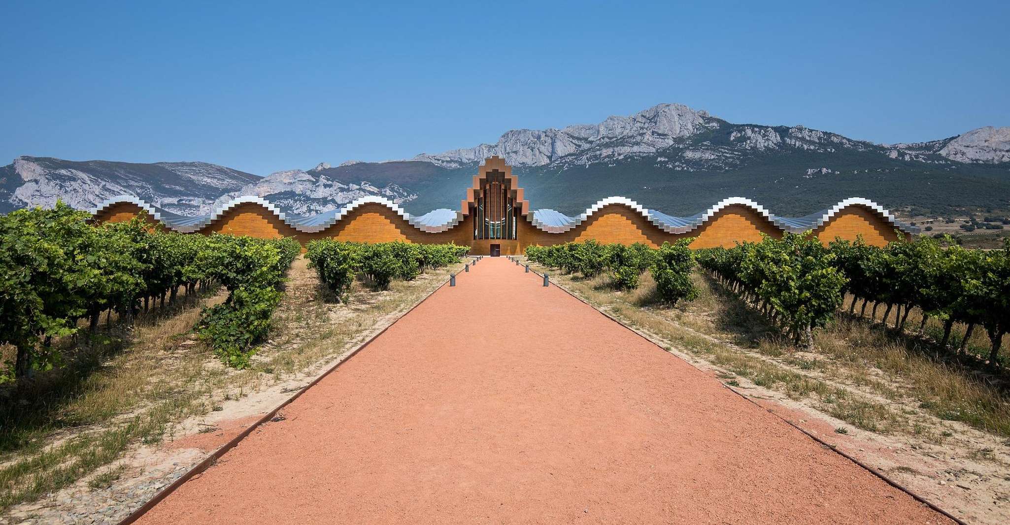 Rioja Wine Tour - Full Day Private Tour from San Sebastian - Housity