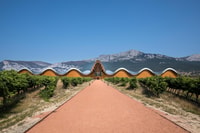 Rioja Wine Tour - Full Day Private Tour from San Sebastian - Housity
