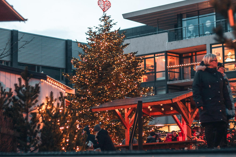 Depuis Reykjavík : Marché de Noël et visite en voiture des Yule Lads