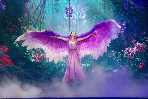 岘港：汉江晚餐游船之旅（含仙沙表演）岘港：汉江晚餐游船之旅，含仙沙表演