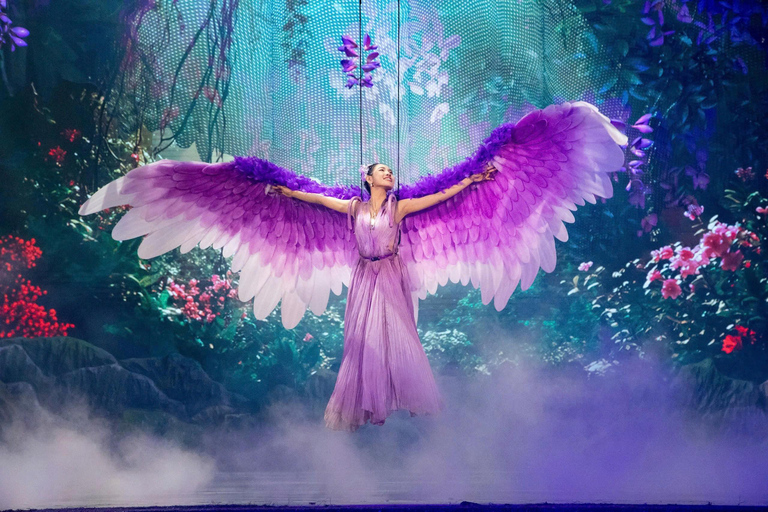 岘港：汉江晚餐游船之旅（含仙沙表演）岘港：汉江晚餐游船之旅，含仙沙表演