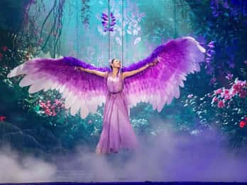 Tour gastronomico della città di Da Nang con musica dal vivo e spettacolo Tien Sa