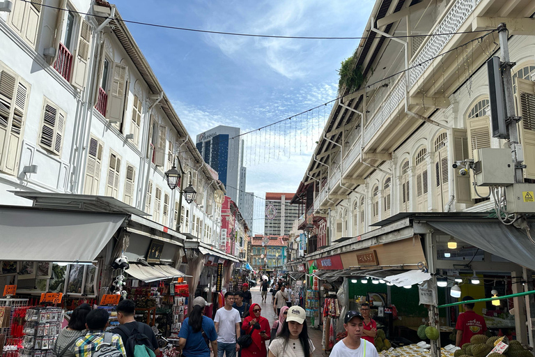 جولة بالسيارة في سنغافورة: الحي الصيني/حاجي لين/جو تشياتجولة خاصة لمدة 4 ساعات | جولة خاصة