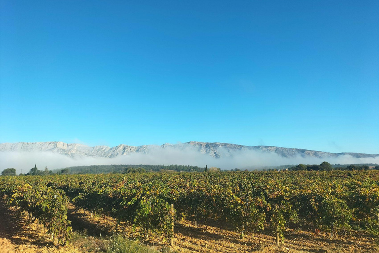 Fördjupning på landsbygden med hästridning i Sainte VictoireHästryggen