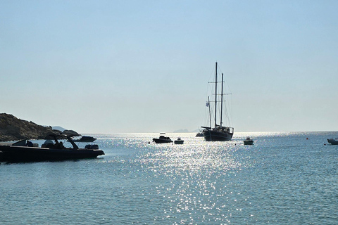 4 heures de visite privée de l&#039;île de Mykonos en minibus de luxe