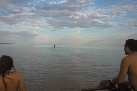 Tigre: Safari Delta Boat Tour in Tigre