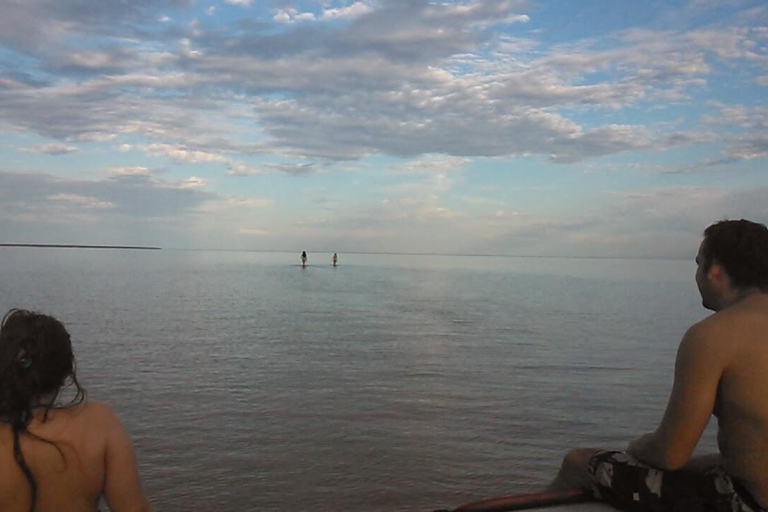 Tigre: Safari Delta Boat Tour in Tigre