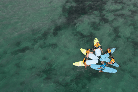 Sydney: Dee Why Beach Group Surfing Lesson