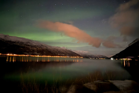Tromsø: Northern Lights Tour with Photos & Snacks