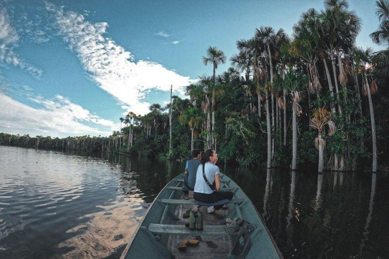 Puerto Maldonado: 6-Day Amazon Tour with Sandoval Lake