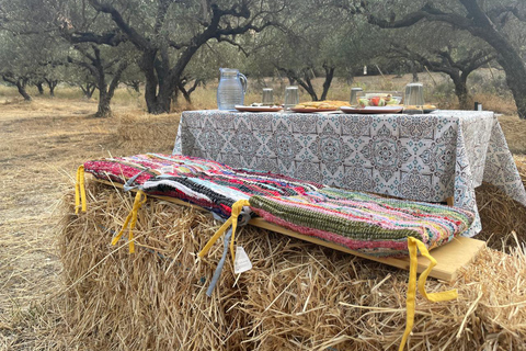 Heraklion: Brunch de los agricultores cretenses y visita al olivar