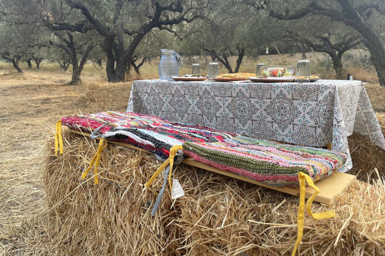 Heraklion: Brunch com agricultores de Creta e passeio pelos olivais