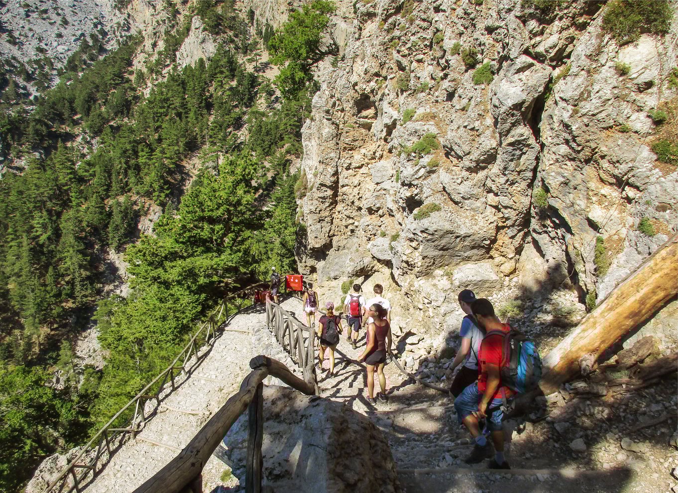 Fra Chania: Heldagsudflugt i Samaria-kløften med guide