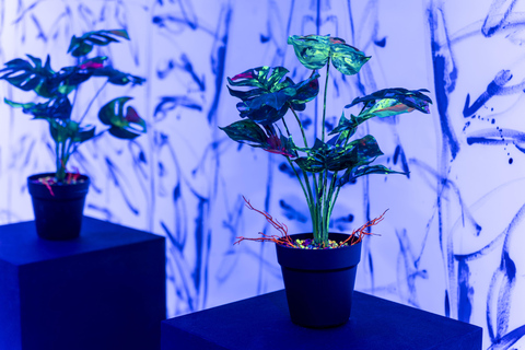 Busan: Admission to “Again, Übermensch” Media Art Exhibition