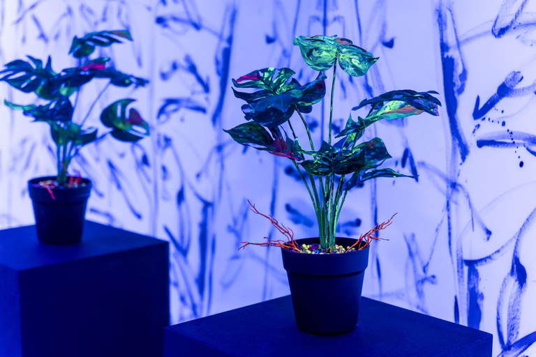 Busan: Admission to “Again, Übermensch” Media Art Exhibition