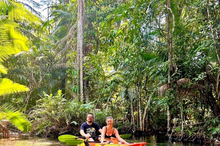 Krabi (Krabi) Klong Root (Kristallsjön) KajakpaddlingMorgonsession - kl. 8.15.