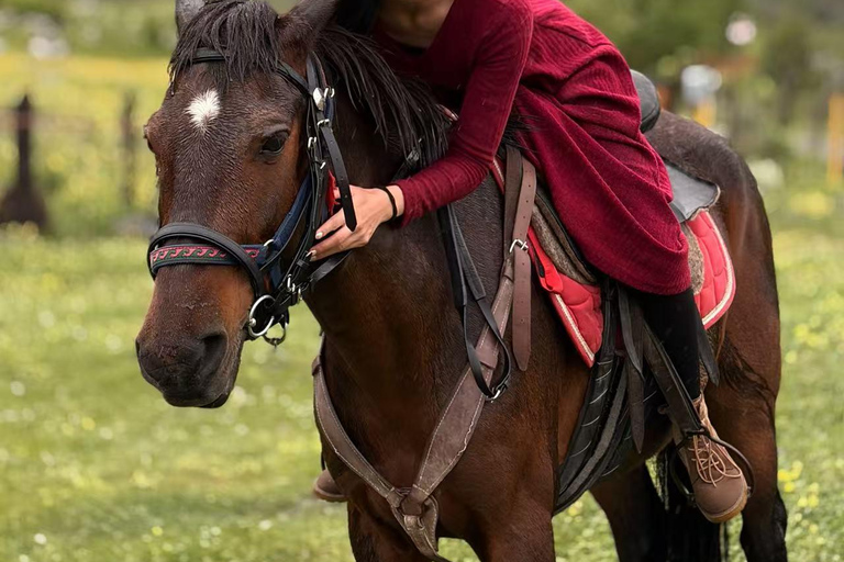 Horseback Ride to Kuro Ridge with Photos & Helmets
