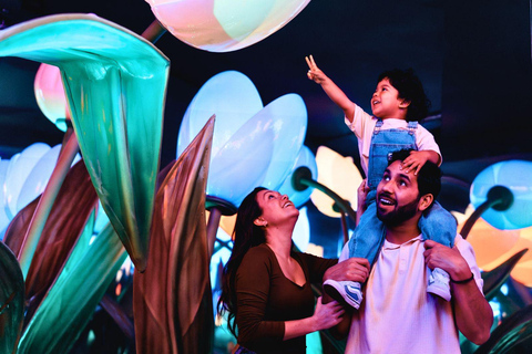 Amsterdam: Discover Holland in a fun experience - Free photo Highlights of Holland: Entry Ticket