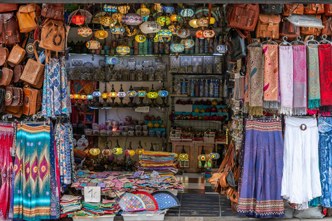 Granada Excursion: Albayzín and Sacromonte Tour from Estepona and Marbella