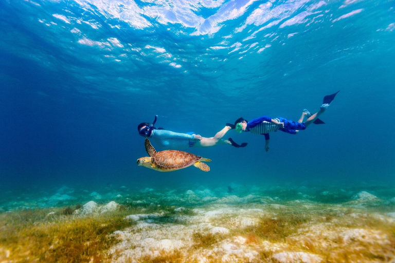 Sharm El Sheij: Crucero en barco de lujo con snorkel y almuerzoSharm El Sheij: Crucero por el Parque Natural con snorkel y almuerzo