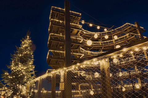 Saarland: Treetop Walk Saarschleife & Lookout Tower