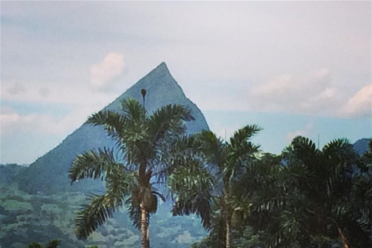 Medellin: Jardin Coffee Farm Tour