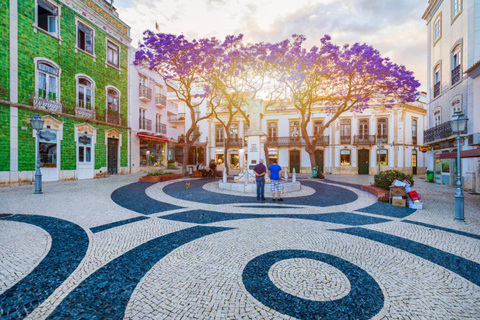 Excursão particular de um dia inteiro em Lagos e Benangil saindo de LisboaExcursão particular de dia inteiro em Lagos e Benangil saindo de Lisboa