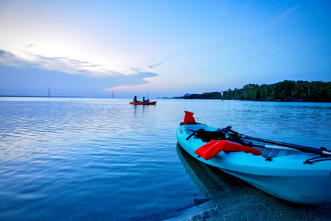 Merritt Island: Small-Group Clear Kayak Bioluminescence Tour