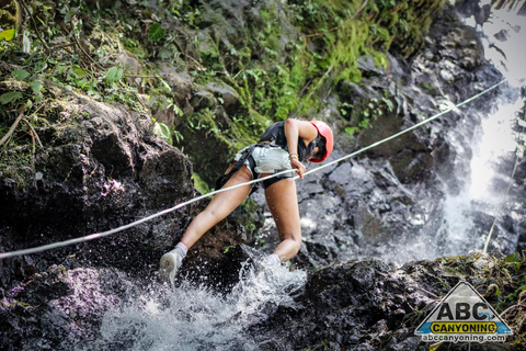 From La Fortuna: Canyoning & Rappelling Waterfalls in Arenal