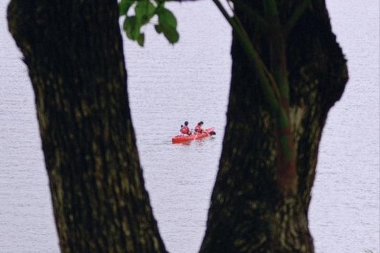 Hangzhou: Qiandao Lake Forest & Kayak Private Day Trip