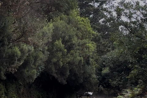 Madère : aventure en buggy tout-terrain dans les montagnes