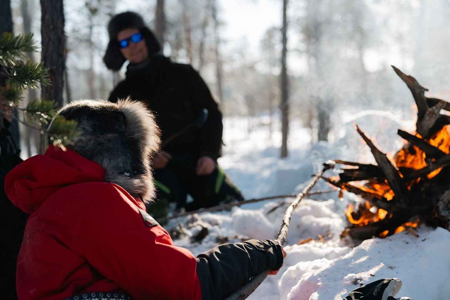 A day with reindeer herders in the wilderness